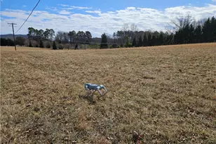 00 Volunteer Rd, Pinnacle, NC 27043 - Photo 1