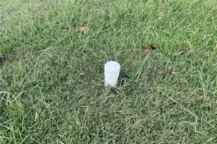 503 W Kapp St, Dobson, NC 27017 - Photo 5