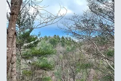 5354 West Ridge Road, Ferguson, NC 28624 - Photo 3