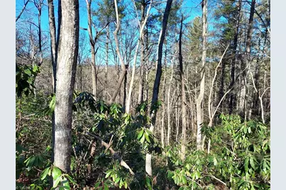 5354 West Ridge Road, Ferguson, NC 28624 - Photo 19