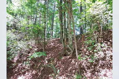 5354 West Ridge Road, Ferguson, NC 28624 - Photo 9