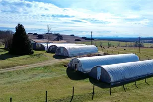 8621 Austin Traphill Rd, Traphill, NC 28685 - Photo 11