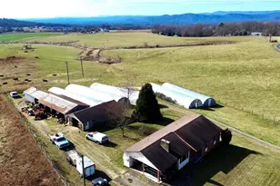 8621 Austin Traphill Rd, Traphill, NC 28685 - Photo 3