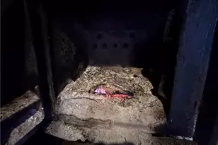 8621 Austin Traphill Rd, Traphill, NC 28685 - Photo 35