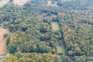 223 Wendy Oak Rd, Reidsville, NC 27320 - Photo 43