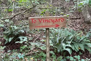 687 W Meadow Pkwy, Moravian Falls, NC 28654 - Photo 37