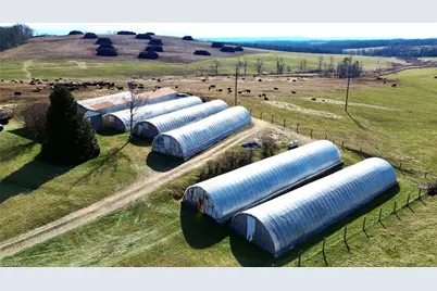 8660 Austin Traphill Road, Traphill, NC 28685 - Photo 1