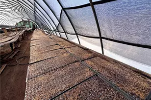 8660 Austin Traphill Rd, Traphill, NC 28685 - Photo 21