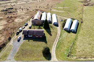 8660 Austin Traphill Rd, Traphill, NC 28685 - Photo 5