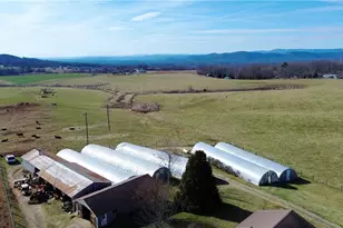 8660 Austin Traphill Rd, Traphill, NC 28685 - Photo 11