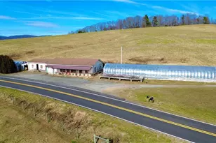 8660 Austin Traphill Rd, Traphill, NC 28685 - Photo 3