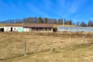 8660 Austin Traphill Rd, Traphill, NC 28685 - Photo 3