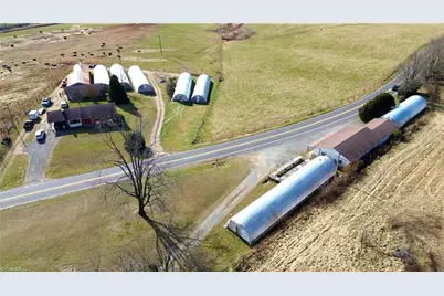 8660 Austin Traphill Road, Traphill, NC 28685 - Photo 5