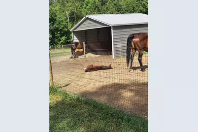 2631 Price Grange Road, Eden, NC 27288 - Photo 37