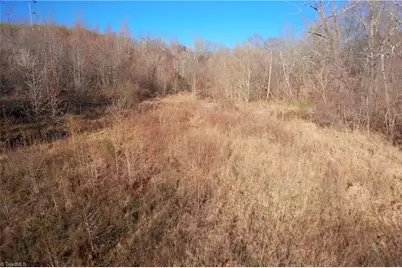 4 Roby Fulk Road, Pinnacle, NC 27043 - Photo 15