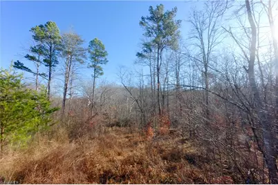 4 Roby Fulk Road, Pinnacle, NC 27043 - Photo 17