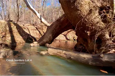 4 Roby Fulk Road, Pinnacle, NC 27043 - Photo 11