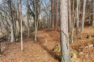 4509 Randleman Lake Rd, Randleman, NC 27317 - Photo 49