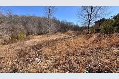 747 Chandler Road, Dobson, NC 27017 - Photo 25