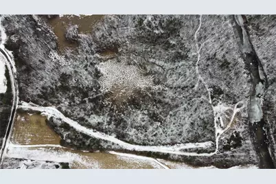 747 Chandler Road, Dobson, NC 27017 - Photo 7