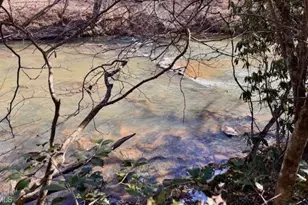 747 Chandler Rd, Dobson, NC 27017 - Photo 7