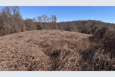 747 Chandler Road, Dobson, NC 27017 - Photo 41