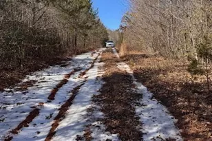 747 Chandler Rd, Dobson, NC 27017 - Photo 33