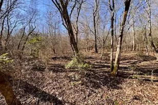 747 Chandler Rd, Dobson, NC 27017 - Photo 17