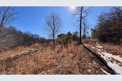 747 Chandler Road, Dobson, NC 27017 - Photo 23