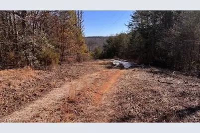 747 Chandler Road, Dobson, NC 27017 - Photo 39