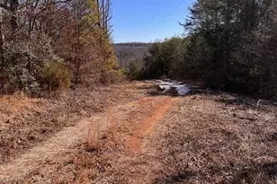 747 Chandler Rd, Dobson, NC 27017 - Photo 39