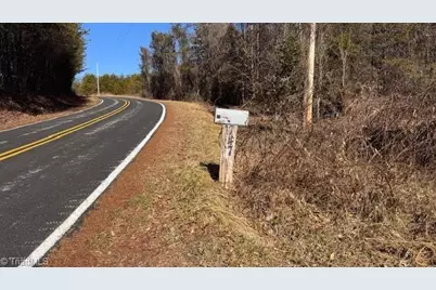 747 Chandler Road, Dobson, NC 27017 - Photo 45