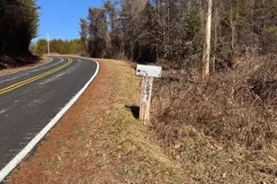 747 Chandler Rd, Dobson, NC 27017 - Photo 45