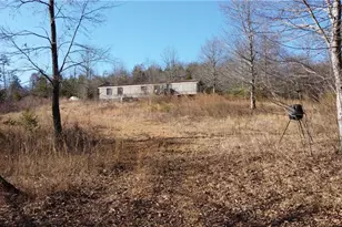 747 Chandler Rd, Dobson, NC 27017 - Photo 23