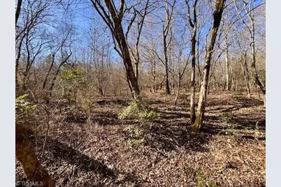 747 Chandler Road, Dobson, NC 27017 - Photo 13