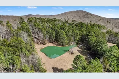 3216 Flat Swamp Road, Denton, NC 27239 - Photo 43