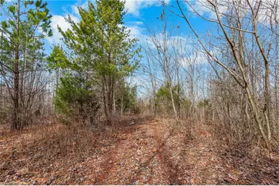 0 Hinshaw Road, Yadkinville, NC 27055 - Photo 3