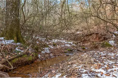 0 Hinshaw Road, Yadkinville, NC 27055 - Photo 5