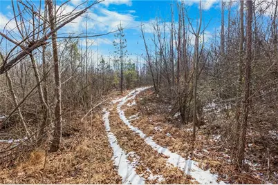 0 Hinshaw Road, Yadkinville, NC 27055 - Photo 15