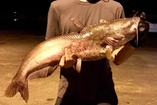 115 Washburn Lake Rd, Reidsville, NC 27320 - Photo 31