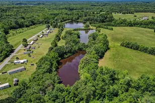 115 Washburn Lake Rd, Reidsville, NC 27320 - Photo 19