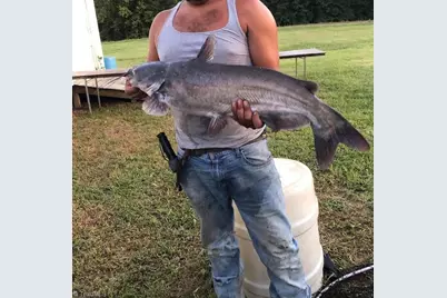 115 Washburn Lake Road, Reidsville, NC 27320 - Photo 35