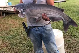 115 Washburn Lake Rd, Reidsville, NC 27320 - Photo 35