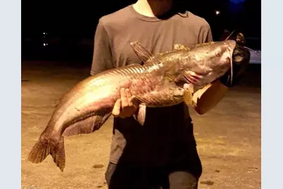 115 Washburn Lake Road, Reidsville, NC 27320 - Photo 31