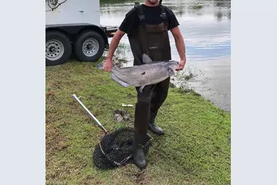 115 Washburn Lake Road, Reidsville, NC 27320 - Photo 33