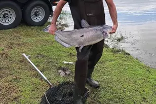 115 Washburn Lake Rd, Reidsville, NC 27320 - Photo 33