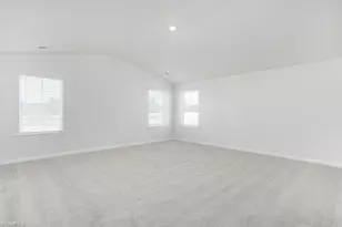 229 Pepper Tree Rd, Stokesdale, NC 27357 - Photo 19