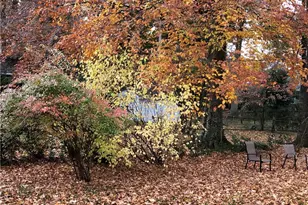 915 Onslow Dr, Greensboro, NC 27408 - Photo 37