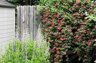 915 Onslow Dr, Greensboro, NC 27408 - Photo 37