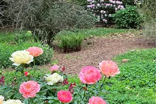 915 Onslow Dr, Greensboro, NC 27408 - Photo 45